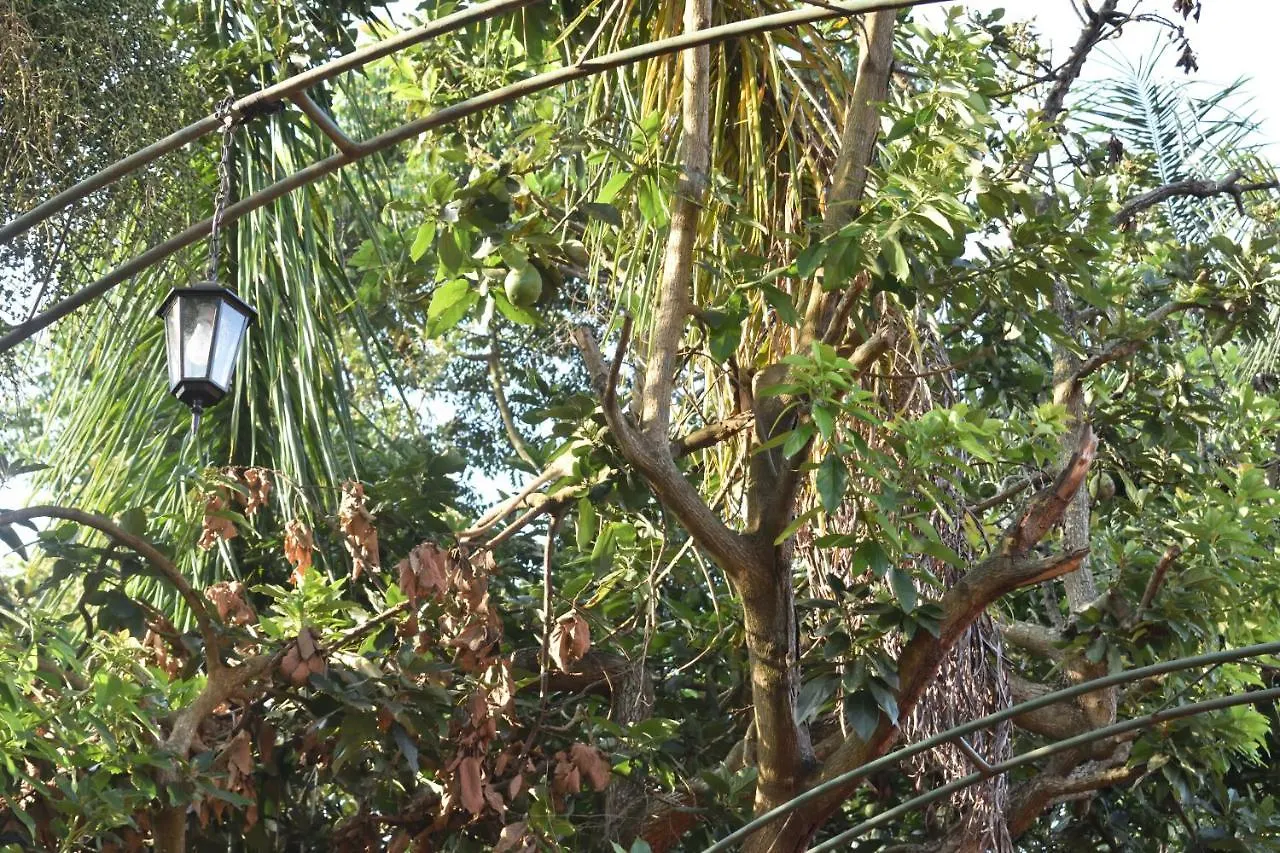 Secrets Guest House Entebbe 4*,