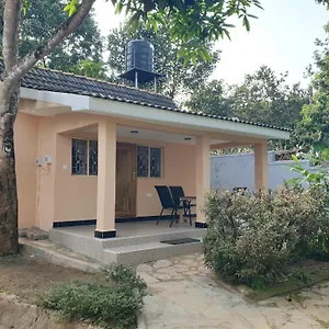Alison & Dave's Guest house